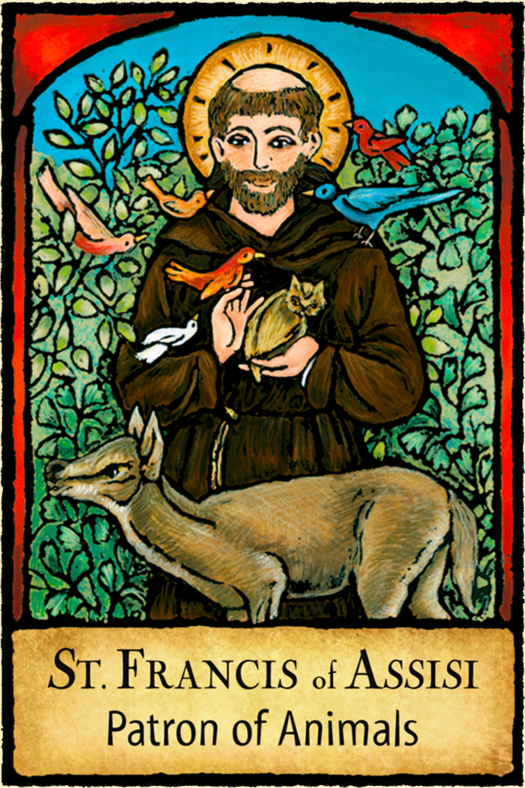 St. Francis of Assisi - Patron Saints #437