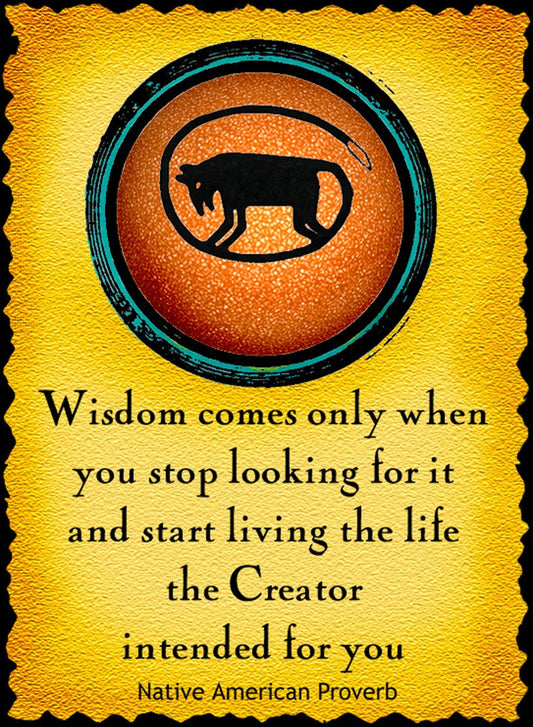 Wisdom Comes Only When You Stop Looking For It - Native American #182